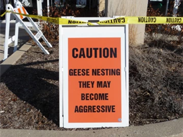 Goose Nesting Warning Sign
