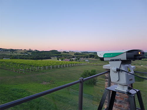 Bird control laser at a crop field/vineyard