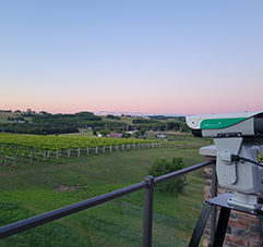 Soft Fruit Farms & Vineyards