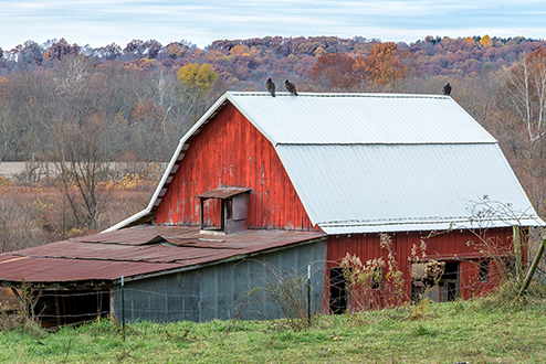 Birds perching on a farm building